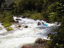 ������� �� ������� ���� ������