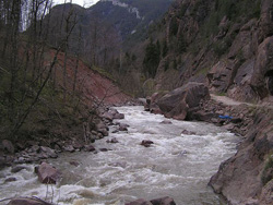 , .,  2005