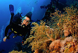 Причины по которым человек занимаеться дайвингом