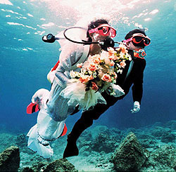 Причины по которым человек занимаеться дайвингом