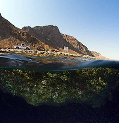 ���������� �����