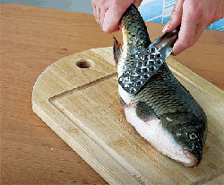 �������� �� ����� � �������� ����