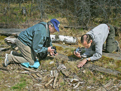  2006, 