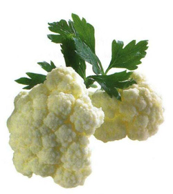 ����� � ������� � ������� ��������