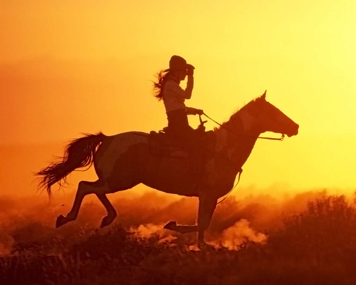 Фотография всадник на коне