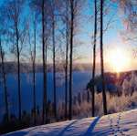 Фотографии природы, зимний лес