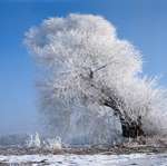 Фото зима в Китае